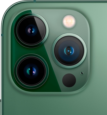 Apple iPhone 13 Pro Max 256Gb (alpine green)