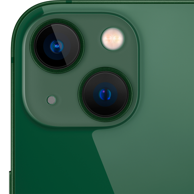 Apple iPhone 13 256Gb (green) (MNGL3)