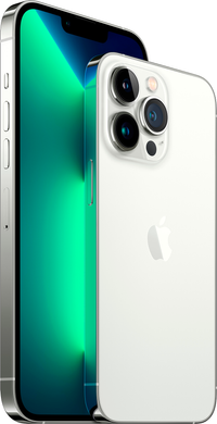 Apple iPhone 13 Pro Max 1Tb (silver)