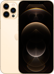 Apple iPhone 12 Pro Max 128Gb (gold)