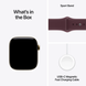 Apple Watch Series 12 (GPS+Cellular) 42mm Titanium Case (radiant gold) with Sport Band (burgundy) - S/M, 130-180mm (MJGJ4RK/A)