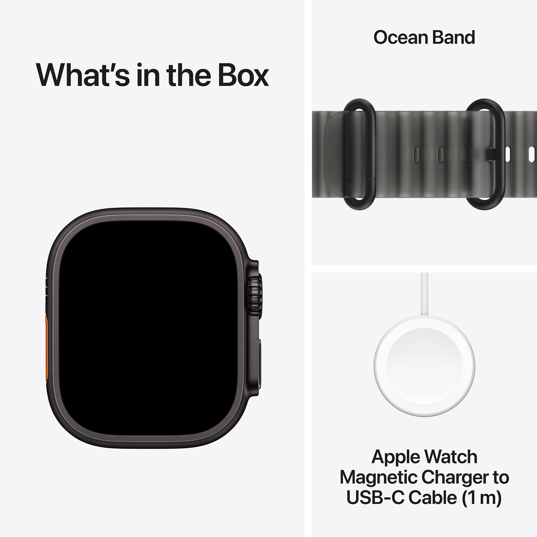 Apple Watch Ultra (4 Gen, 2026) (GPS+Cellular) 49mm Titanium Case (black) with Ocean Band (translucent black) - One Size, 130-200mm (MJAY4QI/A)