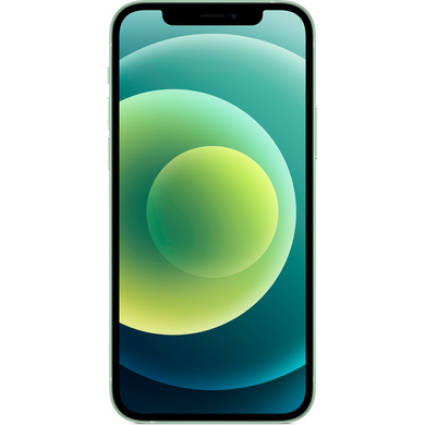 Apple iPhone 12 64Gb (green) (MGJ93)