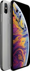 Apple iPhone Xs Max 64Gb (silver)