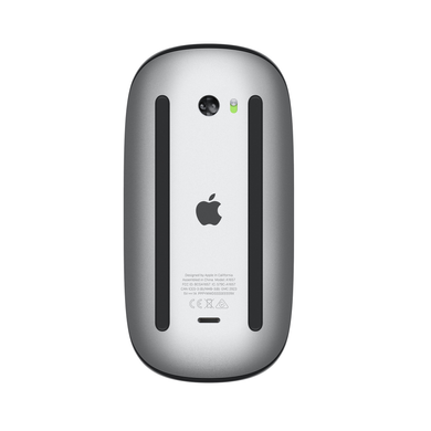 Apple Magic Mouse 2 (black) (MMMQ3ZM/A)