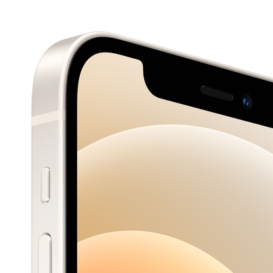 Apple iPhone 12 128Gb (white) (MGJC3)