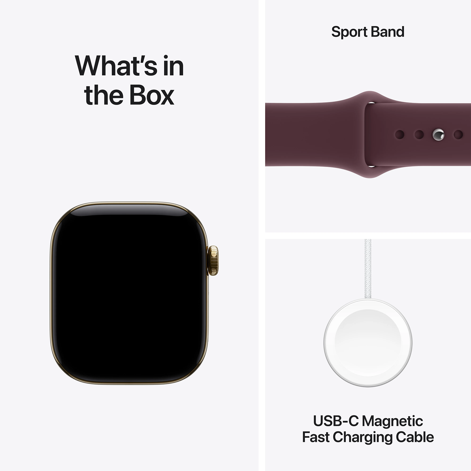 Apple Watch Series 12 (GPS+Cellular) 42mm Titanium Case (radiant gold) with Sport Band (burgundy) - M/L, 150-200mm (MJGK4RK/A)