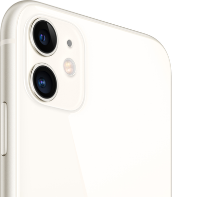 Apple iPhone 11 256Gb (white) (MHDQ3)