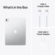 Apple iPad Pro 13" (M5, 2025) Wi-Fi+5G, 2Tb (silver) (ME8K4TY/A)