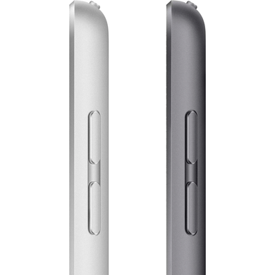 Apple iPad 10,2" (9 Gen, 2021) Wi-Fi, 256Gb (silver) (MK2P3)