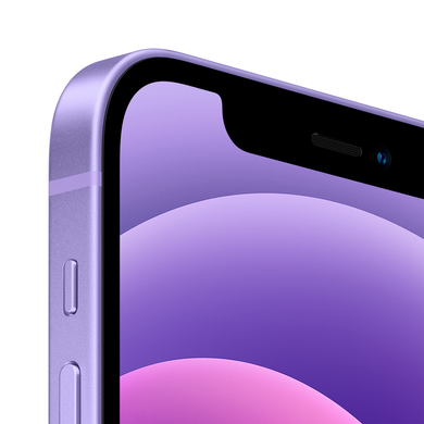 Apple iPhone 12 256Gb (purple) (MJNQ3FS/A)