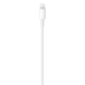 Apple Cable USB-C to Lightning (1 m) (white) (MUQ93ZM/A)