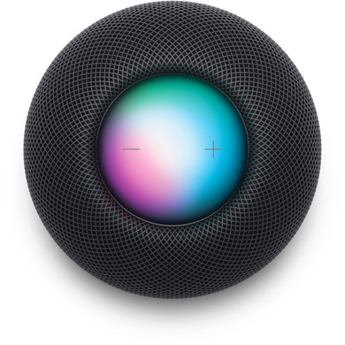 Apple HomePod mini (2020) (space gray) (MY5G2)