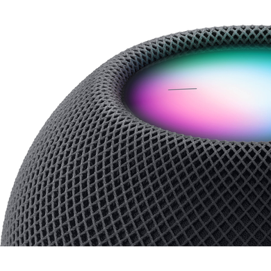 Apple HomePod mini (2020) (space gray) (MY5G2)