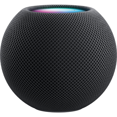 Apple HomePod mini (2020) (space gray) (MY5G2)