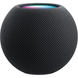 Apple HomePod mini (2020) (space gray) (MY5G2)