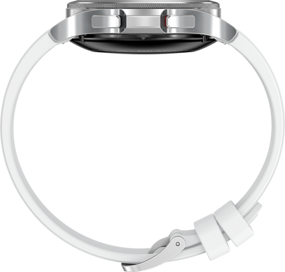 Samsung Galaxy Watch4 Classic 42mm (2021) (silver) (SM-R880NZSASEK)