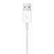 Apple Cable USB-A to Watch Magnetic Charging (1 m) (white) (MX2E2ZM/A)