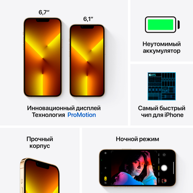 Apple iPhone 13 Pro 1Tb (gold)