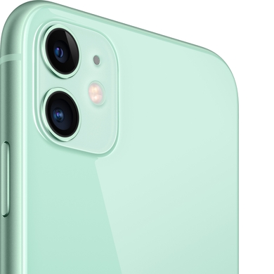 Apple iPhone 11 256Gb (green) (MHDV3)