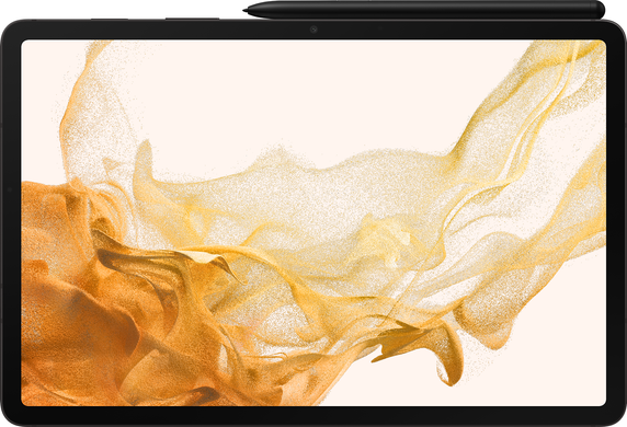 Samsung Galaxy Tab S8 11,0" (2022) WiFi 8/128Gb (graphite) (SM-X700NZAASEK)