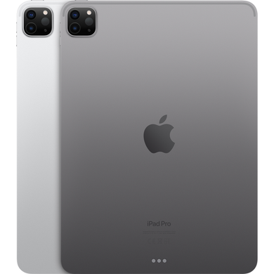 Apple iPad Pro 11" (4 Gen, 2022) Wi-Fi+5G 256Gb (silver) (MNYF3)